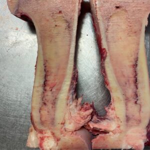 Marrow Bones
