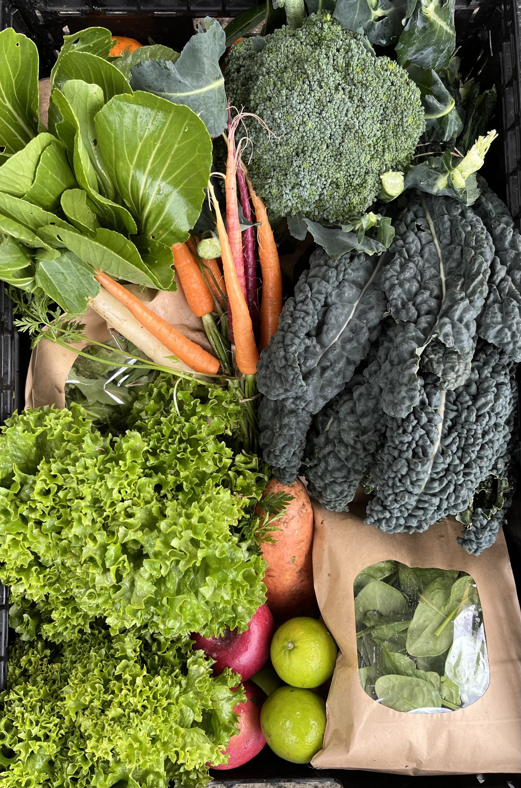 SMALL Certified Organic Fruit & Veg Box